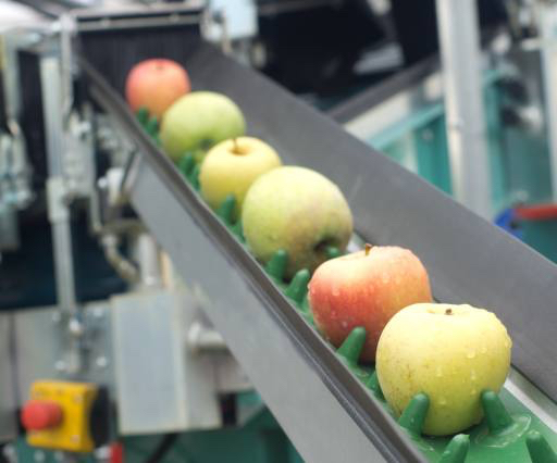 jabłka, żywność, maszyny, fabryki Jevtic