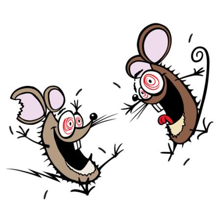 myszy, myszy, szalony, szczęśliwy, dwie Donald Purcell - Dreamstime