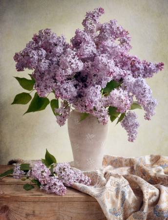 kwiaty, wazon, fioletowy, stół, tkanina Jolanta Brigere - Dreamstime
