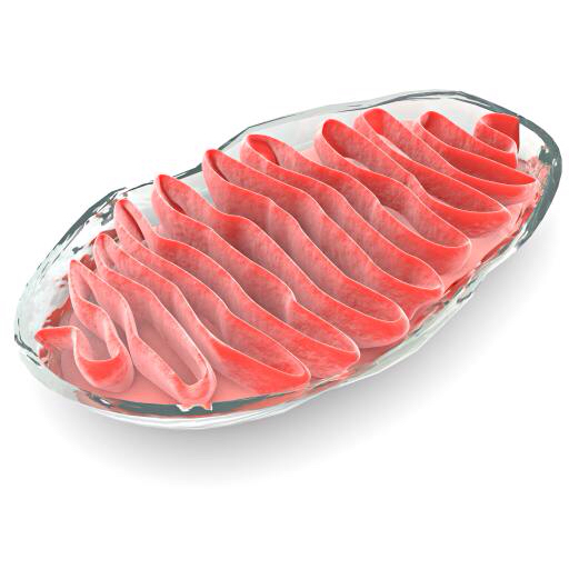 komórek, komórkowe, czerwony, mięso, Gelly, bakterie Vampy1