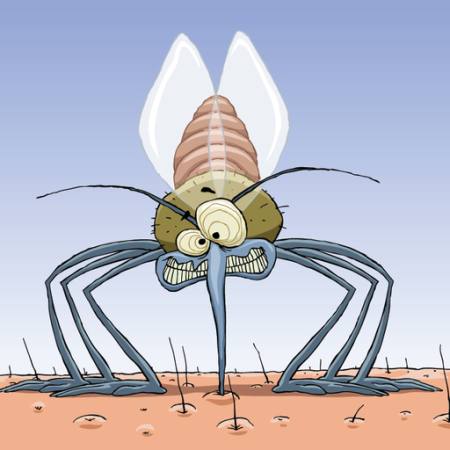 komara, zwierząt, włosy, muchy, rodzina, zakażenie malarią Dedmazay - Dreamstime