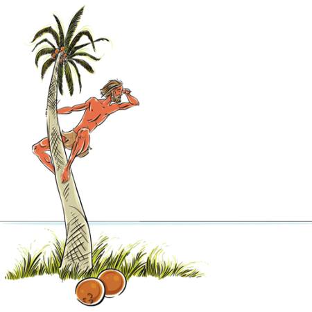 mężczyzna, wyspa, linka, kokos, palma, patrzeć, morze, ocean Sylverarts - Dreamstime
