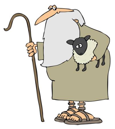 owce, broda, człowiek, buty, trzciny Caraman - Dreamstime