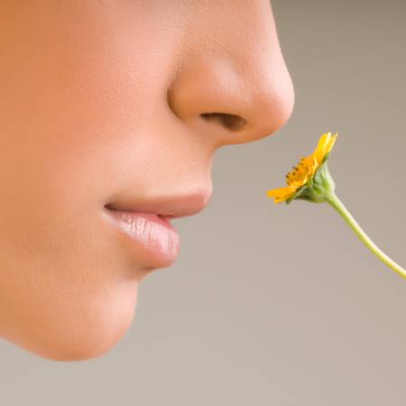 kwiat, twarz, nos, żółty Aldodi - Dreamstime