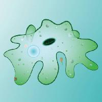 komórka, komórkowy, zielony, szlam, rozmazywanie Designua - Dreamstime
