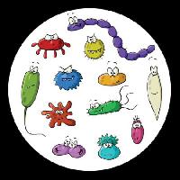 Pixwords Obraz z owady, mikroskop, szlam, wirus Dedmazay - Dreamstime