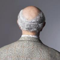 Pixwords Obraz z łysy, człowiek, plecy, głowa, włosy Photographerlondon