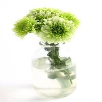 Pixwords Obraz z roślina, kwiat, zielony, woda, rura, wazon Kerstin Aust - Dreamstime