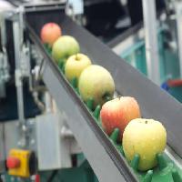 Pixwords Obraz z jabłka, żywność, maszyny, fabryki Jevtic