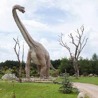 Pixwords Obraz z dinozaurów, park, drzewa, warkocz, zwierząt Caesarone