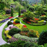 Pixwords Obraz z ogród, kwiaty, kolory, zielony Photo168 - Dreamstime