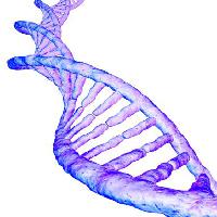 wyniki, gen, ludzka, krew, fioletowe Sebastian Kaulitzki - Dreamstime