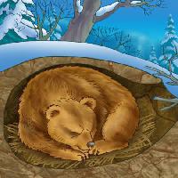 Pixwords Obraz z niedźwiedź, zima, sen, zimno, natura Alexander Kukushkin - Dreamstime