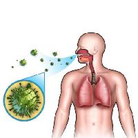 Pixwords Obraz z mężczyzna, ciało, płuca, powietrza, breah, nos, bakterie Andreus - Dreamstime