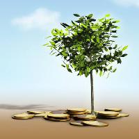 drzewo, pieniądze, zielony Andreus - Dreamstime