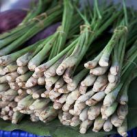 Pixwords Obraz z warzyw, warzywa, jeść, jedzenie, zielony, cebula Jirasaki