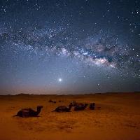 Pixwords Obraz z niebo, noc, , pustynia, wielbłądy, gwiazdy, księżyc Valentin Armianu (Asterixvs)