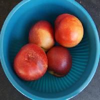 Pixwords Obraz z owoce, miska, niebieski, jedzą, brzoskwinie Westhimal