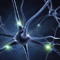 Synapse, głowy, neuron, połączenia Sashkinw - Dreamstime