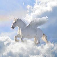 Pixwords Obraz z koni, chmury, latać, skrzydła Viktoria Makarova - Dreamstime