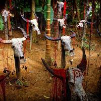 Pixwords Obraz z głowa, głowy, czaszka, czaszki, krew, drzewa, zwierzęta Victor Zastol`skiy - Dreamstime