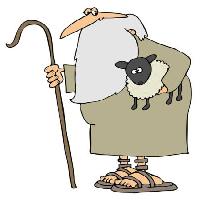 Pixwords Obraz z owce, broda, człowiek, buty, trzciny Caraman - Dreamstime