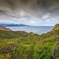 Pixwords Obraz z natura, krajobraz, morze, ocean, zielony, niebo, burza Jon Ingall (Joningall)