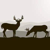 Pixwords Obraz z sarny, jelenie, czarny, krajobraz, zwierzęta, zwierzę Dagadu - Dreamstime