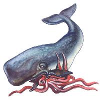 Pixwords Obraz z ryb, zwierząt, wieloryb, kalmary Palych