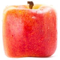 Pixwords Obraz z jabłko. czerwony, żółty, jeść, jedzenie Sergey02 - Dreamstime