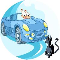 Pixwords Obraz z samochód, jazda, kot, zwierzę Verzhh