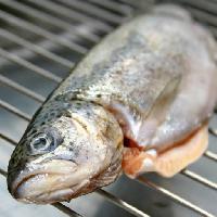 ryby, zwierzęta, grill, jedzenie Savin-sorin Matei-contescu (Mateisavin)