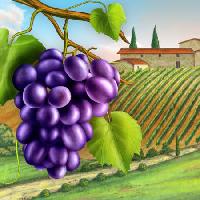Pixwords Obraz z winogrona, sad, zielony, liść, winorośli, gospodarstwo Andreus - Dreamstime