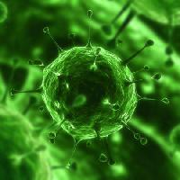 Pixwords Obraz z bakterie, wirusy, owady, choroby cell Sebastian Kaulitzki - Dreamstime