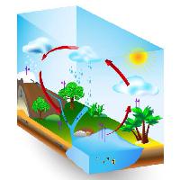 Pixwords Obraz z woda, słońce, drzewa, jezioro, drzewa, chmury, deszcz Designua